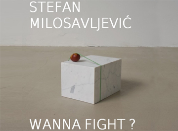 STEFAN MILOSAVLJEVIC - WANNA FIGHT?