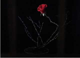 IN CELLA  ( Carlo Concina 2013 - Videoinstallazione )