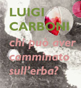 LUIGI CARBONI  chi può aver camminato sull'erba?