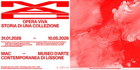 miniatura invito "Luigi Cavadini in dialogo con Stefano Raimondi " Public program. Incontri con i direttori artistici che hanno guidato il MAC