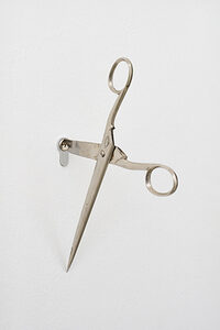 The most interesting plants grow in the shade di Ariel Schlesinger