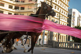 Jonathas de Andrade, O Levante, 2014, video 8’